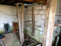 Wall Shifting, Leaking, and Microbial Growth | Hopewell, OH | Before