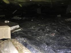 Crawl Space Structural & Humidity Issues | Hilliard, OH