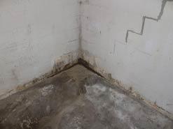 Basement Waterproofing & Structural Repair | Circleville, OH