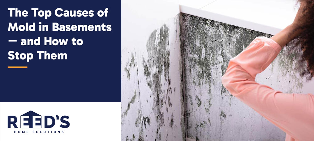 Mold growing on a basement wall next to a homeowner, with text reading “The Top Causes of Mold in Basements—and How to Stop Them” and Reed’s Home Solutions logo.