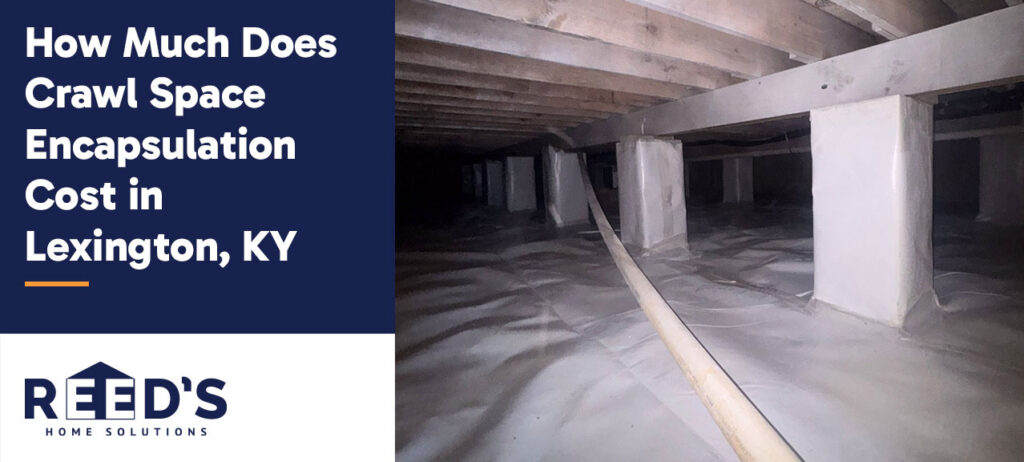 Encapsulated crawl space in Lexington, KY with sealed vapor barrier and structural supports for moisture control and improved air quality.