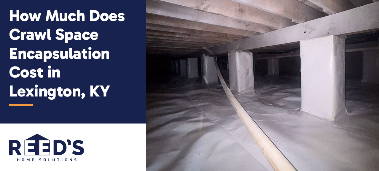 Encapsulated crawl space in Lexington, KY with sealed vapor barrier and structural supports for moisture control and improved air quality.