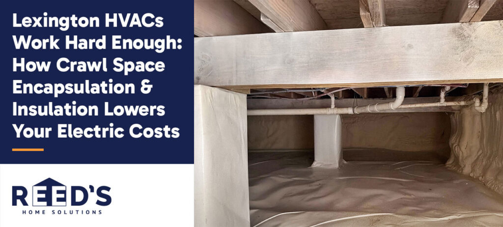 Encapsulated crawl space beneath a Lexington home featuring a sealed vapor barrier on the floor and foundation walls to improve energy efficiency and moisture control.