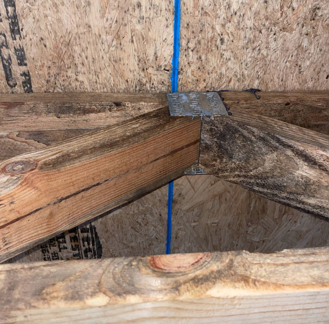 Dark mold staining on wooden roof truss framing and oriented strand board decking in an attic requiring remediation.