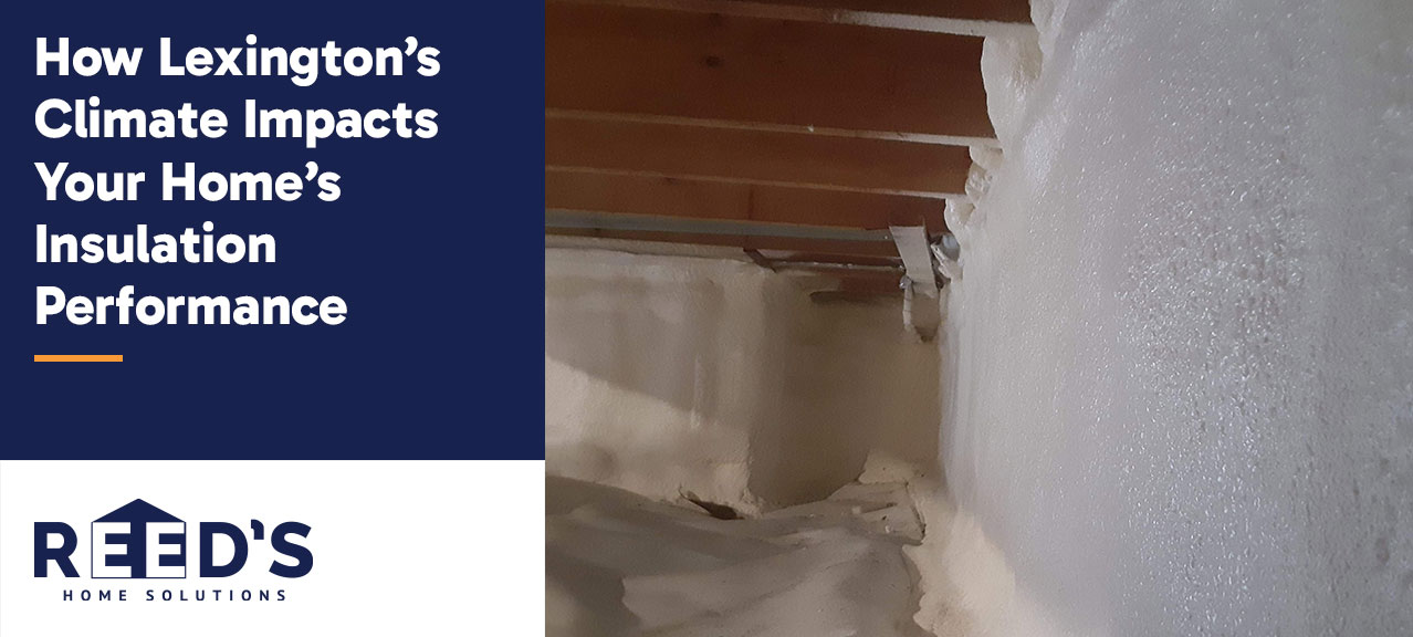 Insulated crawl space in a Lexington, Kentucky home featuring spray foam insulation applied to foundation walls and a vapor barrier on the floor to improve energy efficiency and indoor comfort.